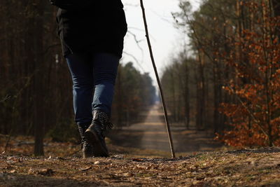 Low section of man standing in forest