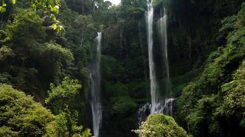 Waterfall in green rainforest. triple tropical waterfall sekumpul in mountain jungle. bali,indonesia