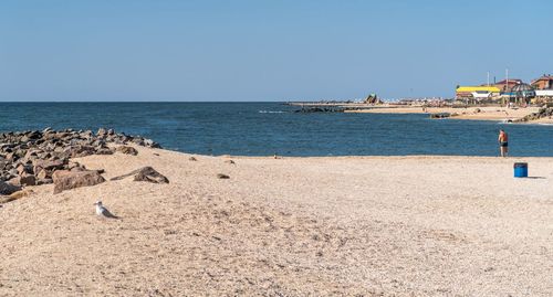 Scenic view of beach against clear sky