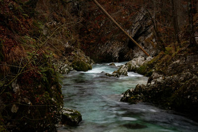 Stream flowing through rocks in forest