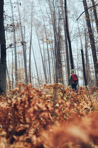 Woman with backpack wandering around a forest on autumn cold day