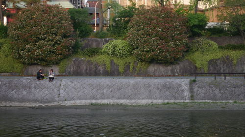 View of people in pond