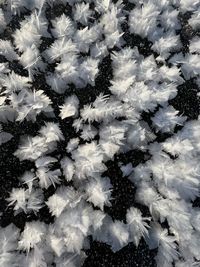 Full frame shot of snow covered field