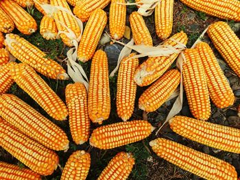 Full frame shot of corns in market for sale