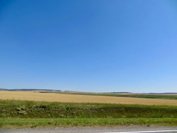 Scenic view of field against clear blue sky