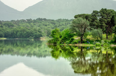 Scenic view of lake by trees against mountains