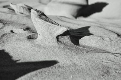 Close-up of paper on sand