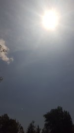 Low angle view of trees against sky