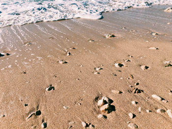 Close-up of footprints on sand