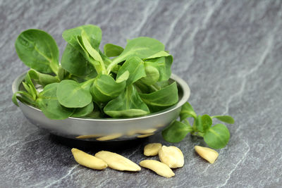 Close-up of vegetables and leaves on table