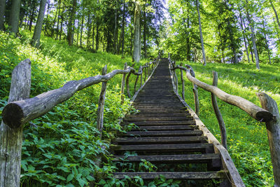 Wooden stairs going up on the mountain and forest