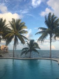 Palm trees by swimming pool against sky