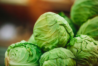 Green cabbage at farmers' market