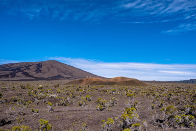 Scenic view of arid landscape against sky