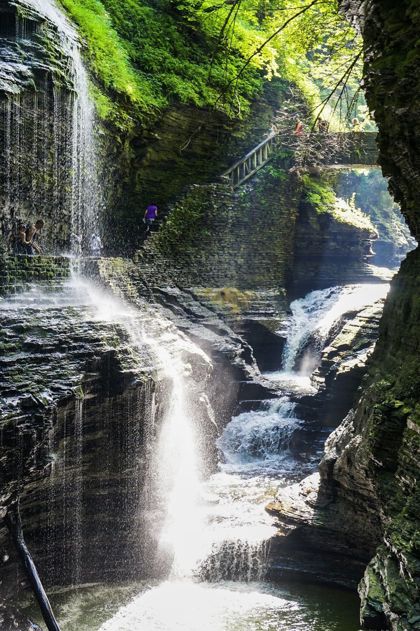 VIEW OF WATERFALL IN FOREST