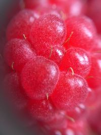 Close-up of strawberry