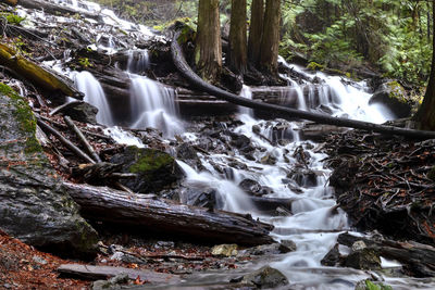 Waterfall in forest