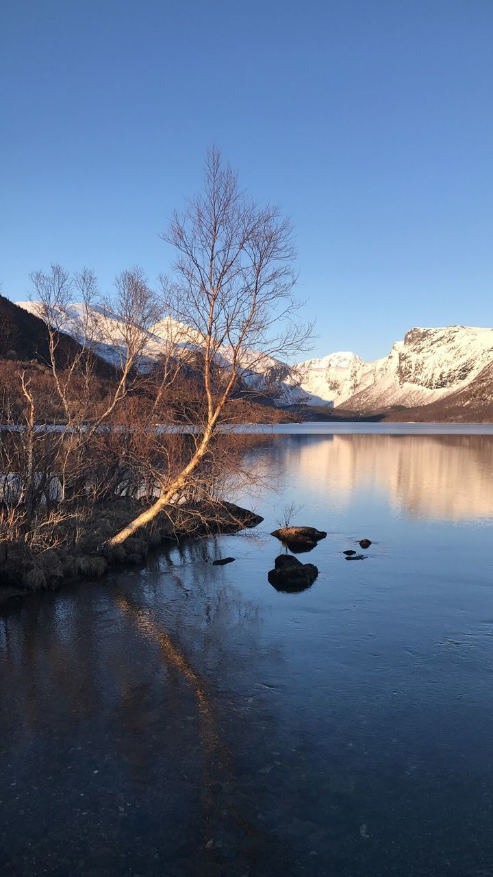 reflection, tranquil scene, bare tree, water, lake, nature, tranquility, beauty in nature, scenics, tree, no people, winter, outdoors, cold temperature, branch, day, clear sky, sky