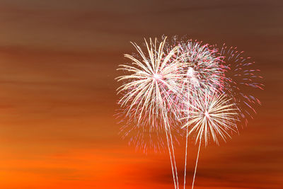 Low angle view of firework display at night