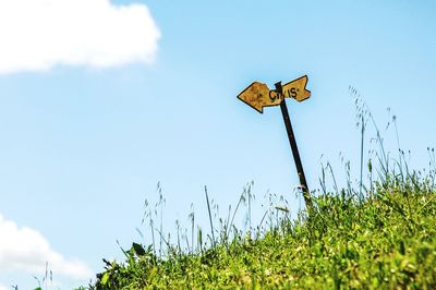 Low angle view of road sign on field against sky