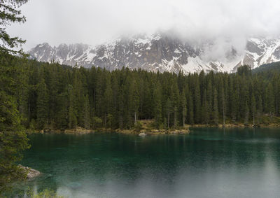 Scenic view of lake by trees against sky