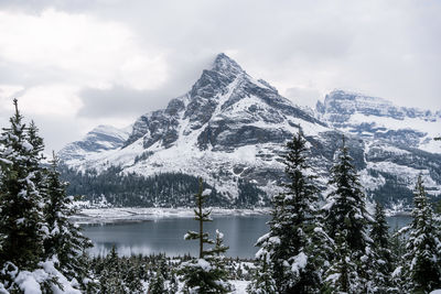 Mount assiniboine after a snowfall in june