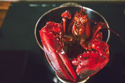 High angle close-up of red crabs in container on table