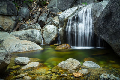 Water flowing through rocks in forest