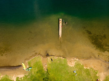 High angle view of plant in lake