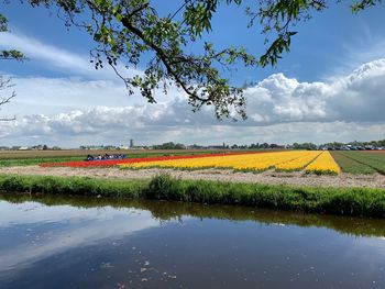 Scenic view of field against sky