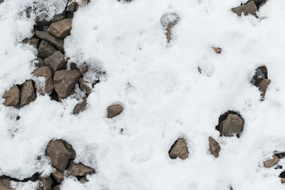 High angle view of snow on field