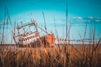 Ship wreck in sea against sky