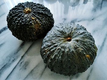 High angle view of pumpkins on marble at home