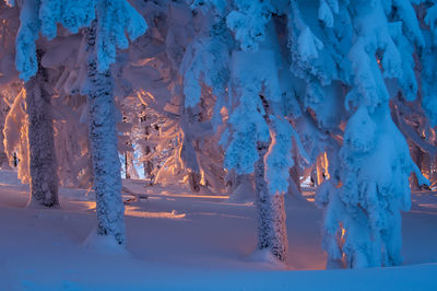 Full frame shot of icicles