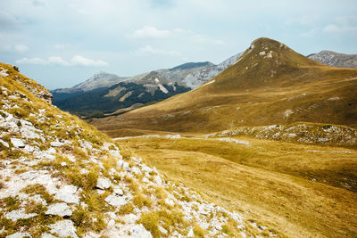 Relaxing and calm mountain landscape with green and yellow meadows. stog, rocky peak.