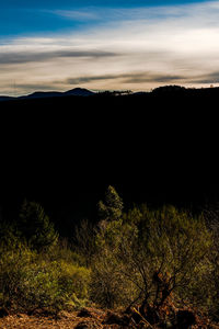 Silhouette trees on landscape against sky during sunset