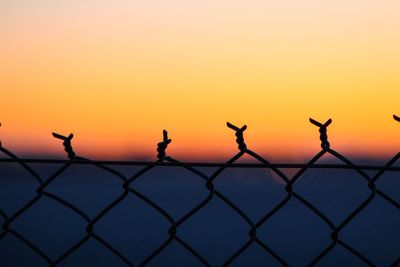 Silhouette birds flying against clear sky during sunset