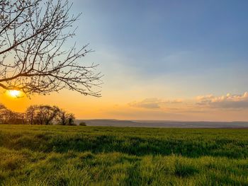 Scenic view of field against sky during sunset