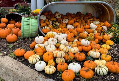 High angle view of pumpkins for sale at market stall