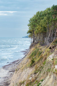 Dutchman's cap, in lithuanian olando kepure, hill or parabolic dunes with pine trees, on baltic sea