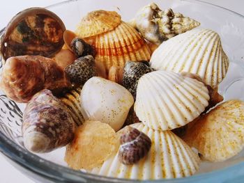 High angle view of shells in plate