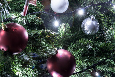 Low angle view of christmas tree