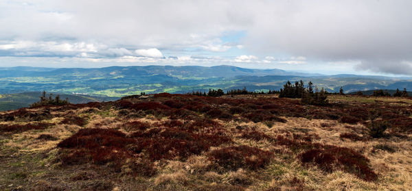 Scenic view of landscape against sky