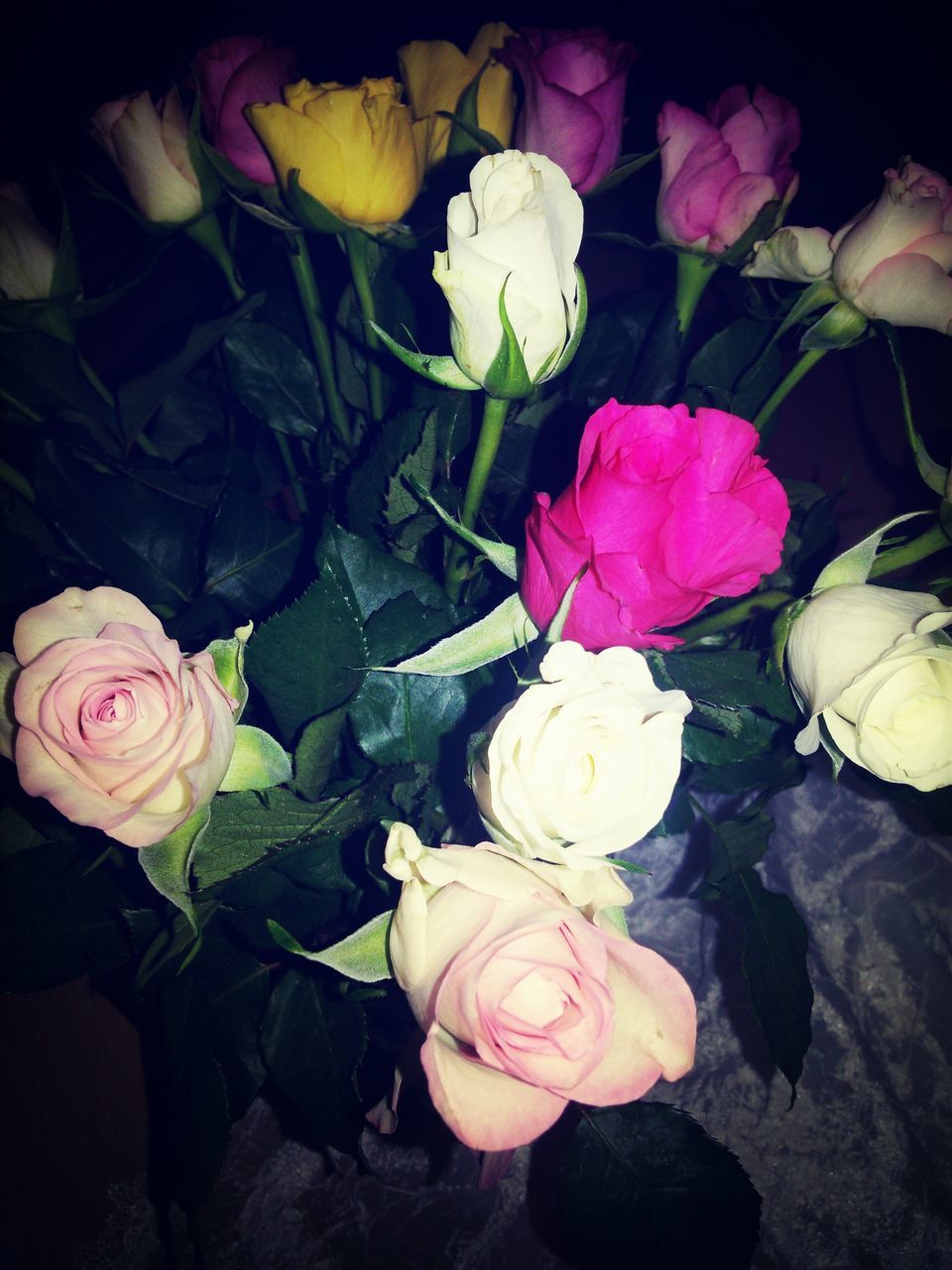 flower, petal, freshness, fragility, flower head, rose - flower, beauty in nature, growth, rose, nature, blooming, close-up, pink color, indoors, bouquet, plant, high angle view, bunch of flowers, leaf, in bloom