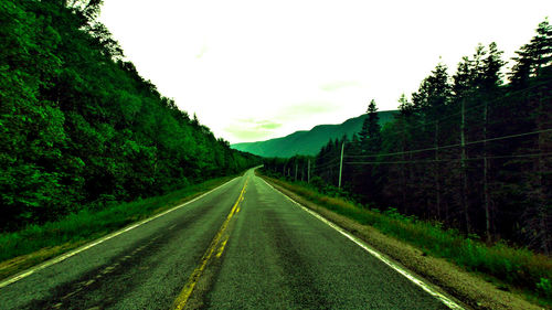 Road amidst trees against sky