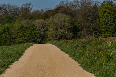 Footpath amidst trees on field against sky