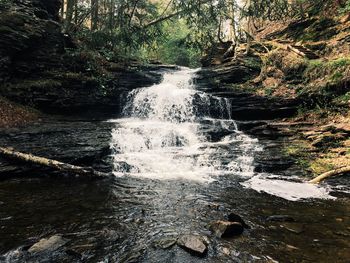 Scenic view of waterfall in forest