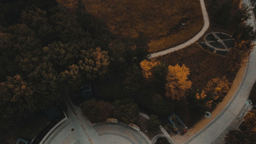 High angle view of road amidst trees during autumn