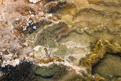 High angle view of rocks in sea