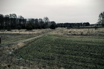 Scenic view of field against sky